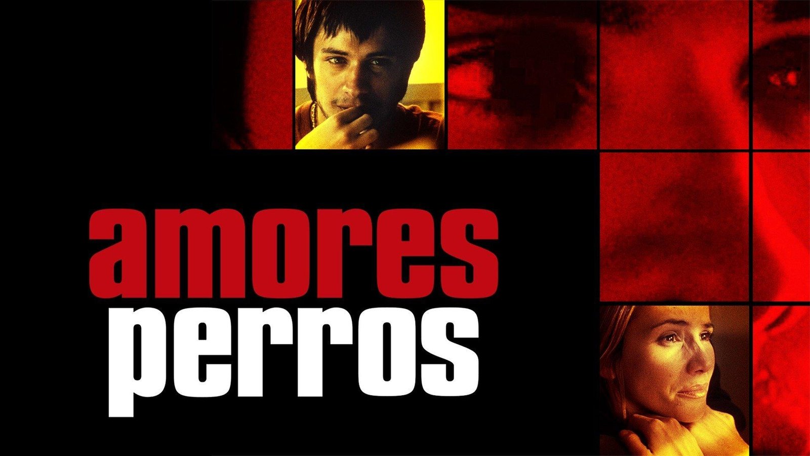 Amores Perros Cinematic Masterpiece 1680648671561