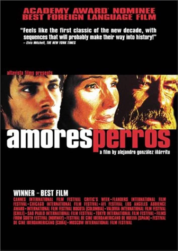 Amores Perros Cinematic Masterpiece 1680648672456