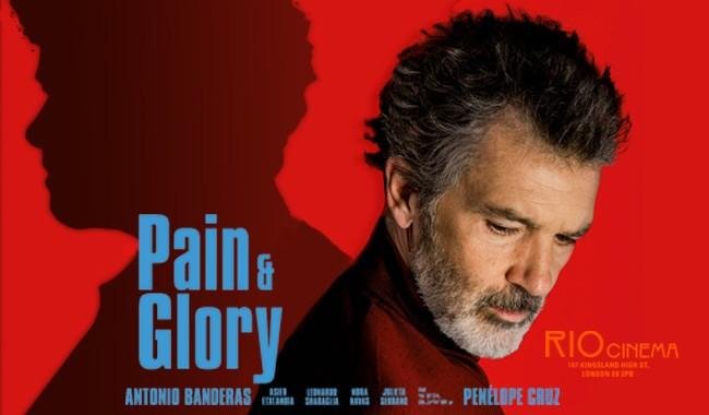 Pain And Glory Film Review 1680787355435