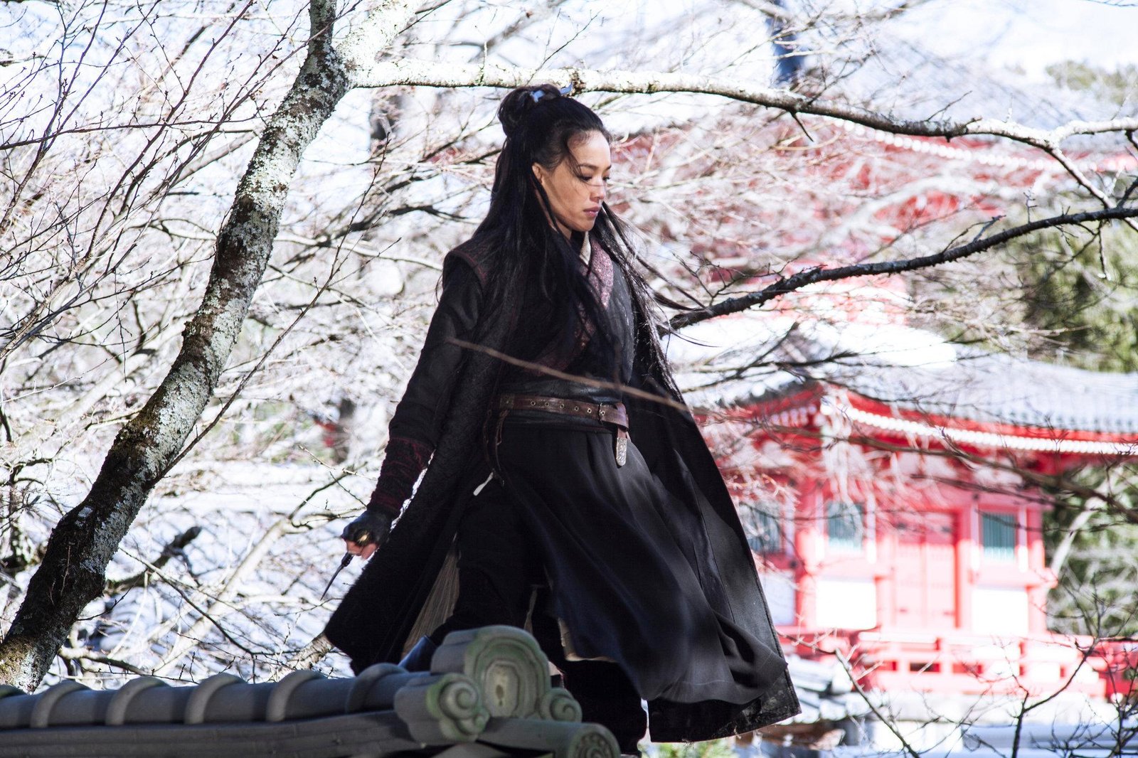 The Assassin Movie Review 1680648147461