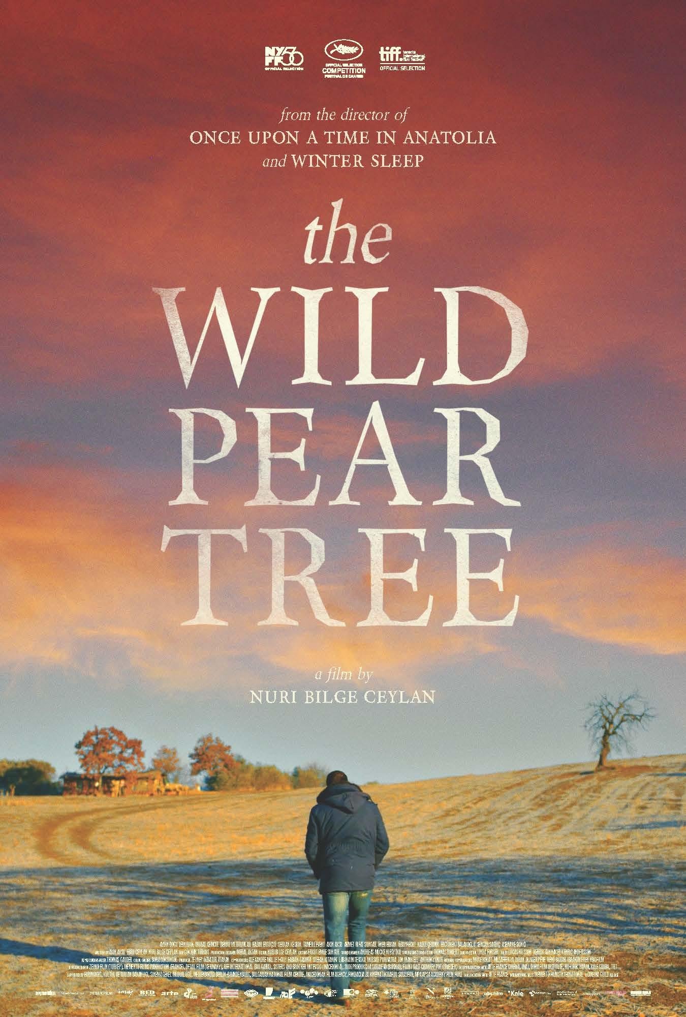 The Wild Pear Tree Movie Review 1680648445978